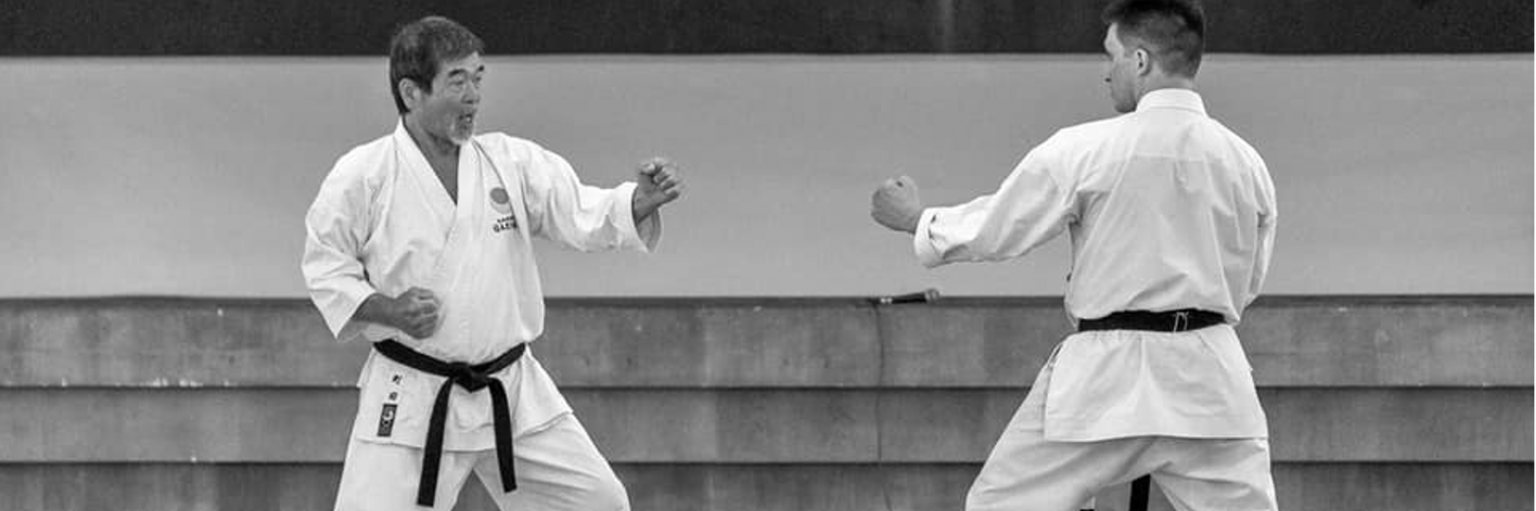 Técnicas do Karatê Shotokan JKADF