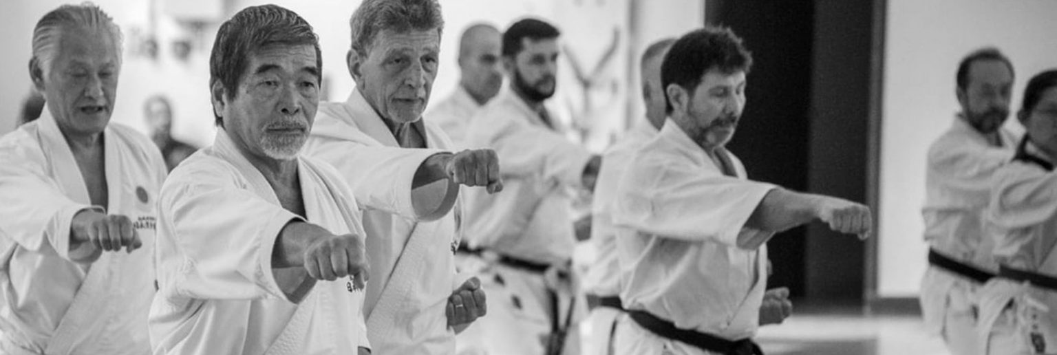 Técnicas do Karatê Shotokan JKADF